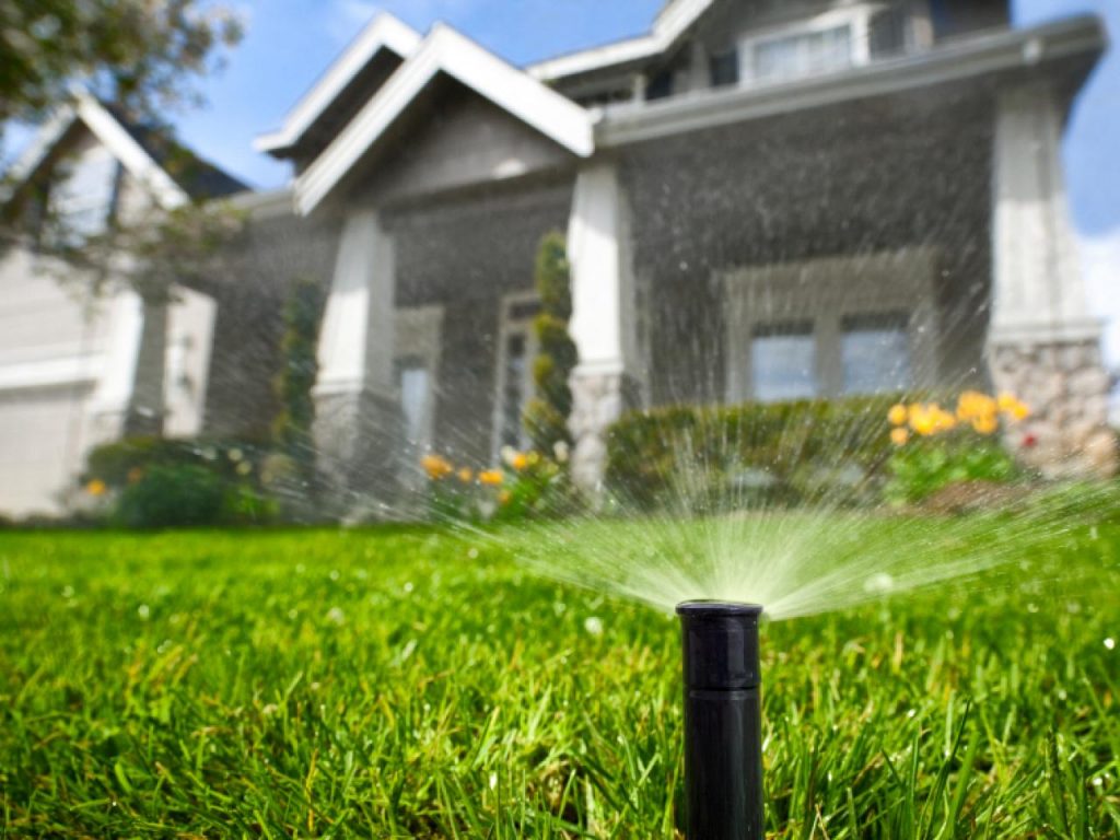 Irrigation-system-1024x768