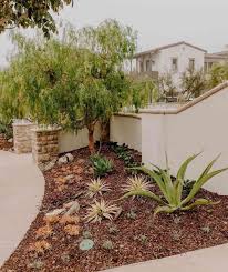 landscaping tucson
